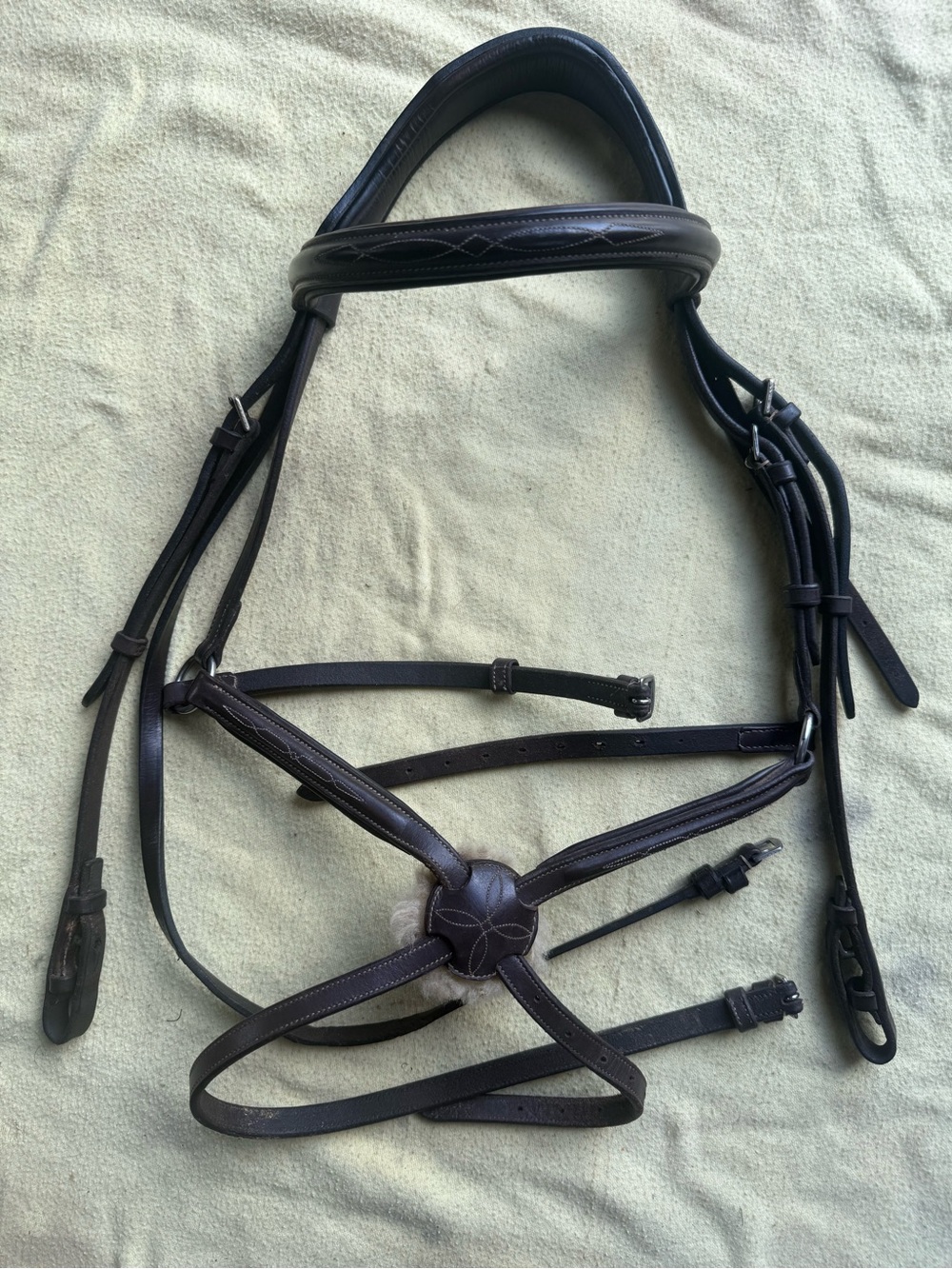 Full sized figure 8 with cob noseband